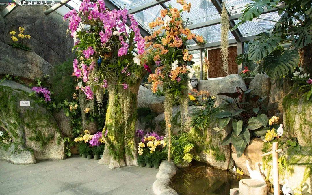 超出片!园博苑8大花展不打烊→_花海中_时间_花艺