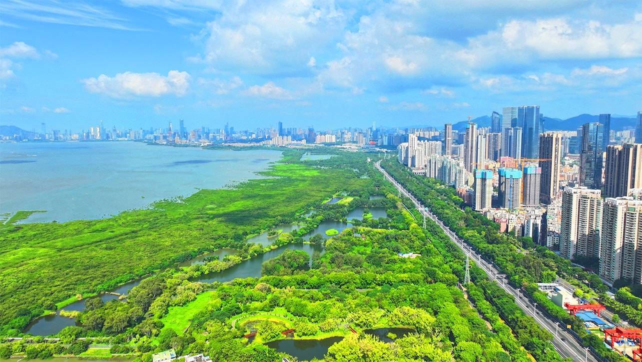 深圳沙头街道开启高质量发展新征程_企业_服务_工作