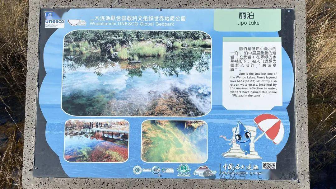 一池,又叫头池子,莲花湖,位于五个池子的最南端,水域面积最小,也是