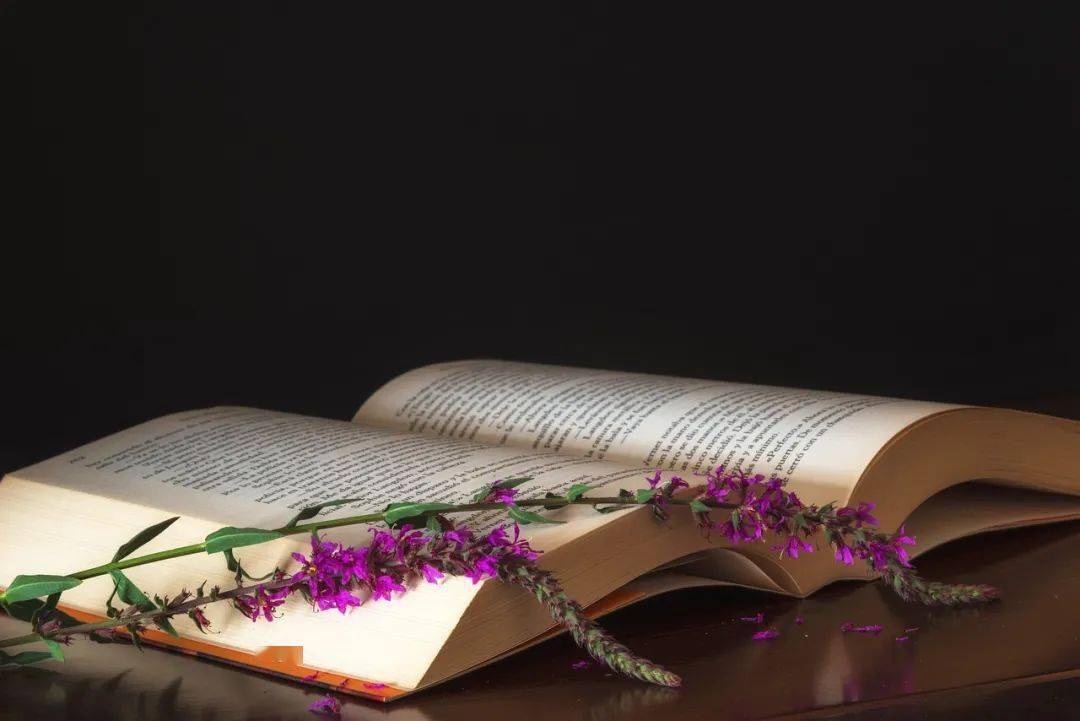 明·杨慎《艺林伐山》伯乐的《相马经》上有这样描述