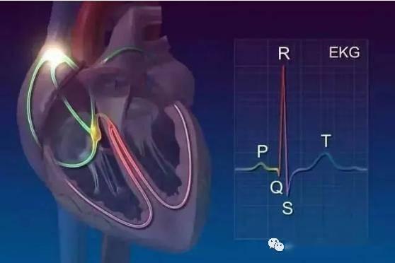 除颤仪的使用方法及操作流程_电极_心脏_进行