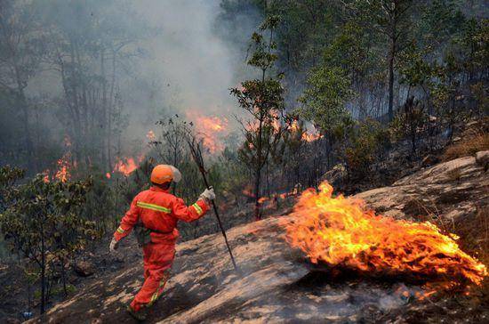 判刑 赔钱,惠水这些失火烧山典型案例教训深刻……_火灾_被告人_杂草