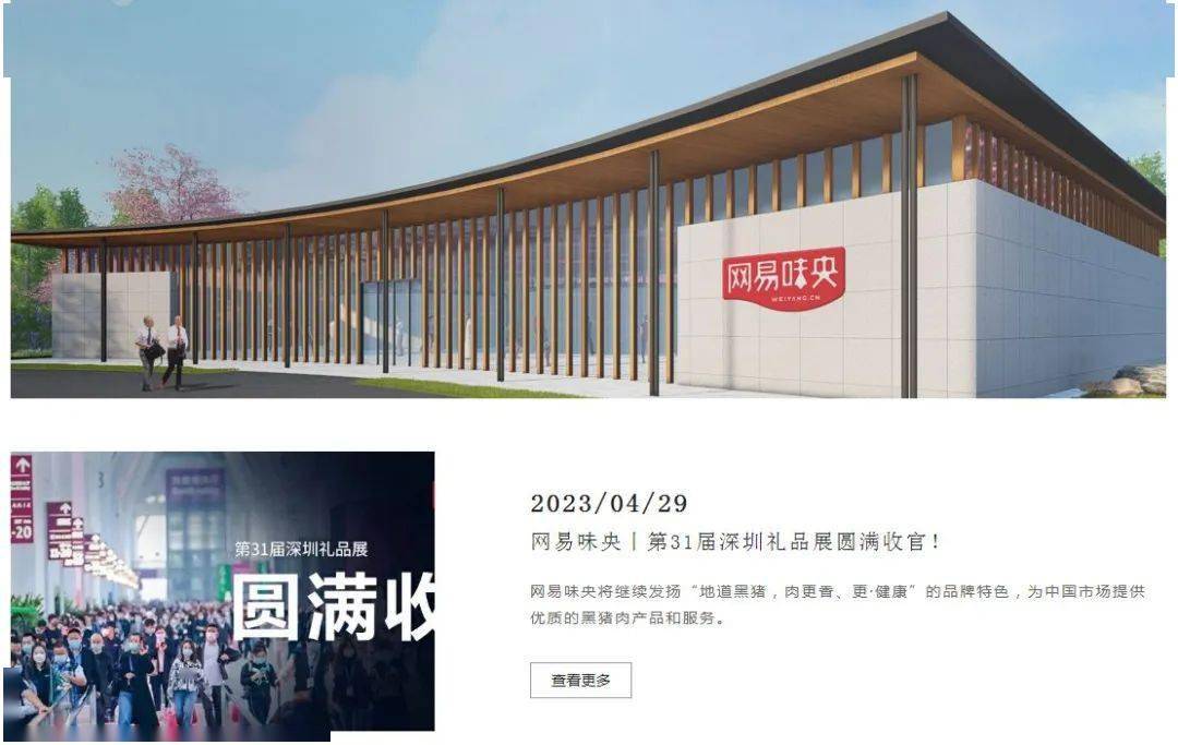 丁磊,过了一个肥年_业务_游戏_公司