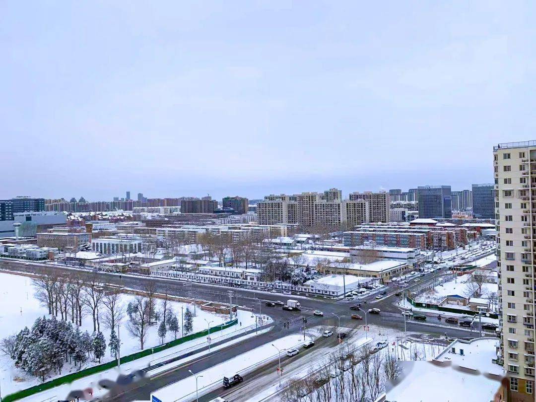 龙年初雪,又要被东坝的美惊艳了!_辖区_发展_社区