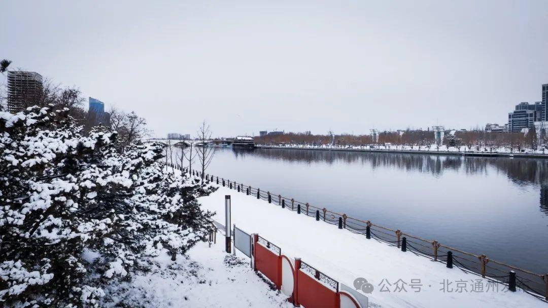 大运河森林公园雪景图片