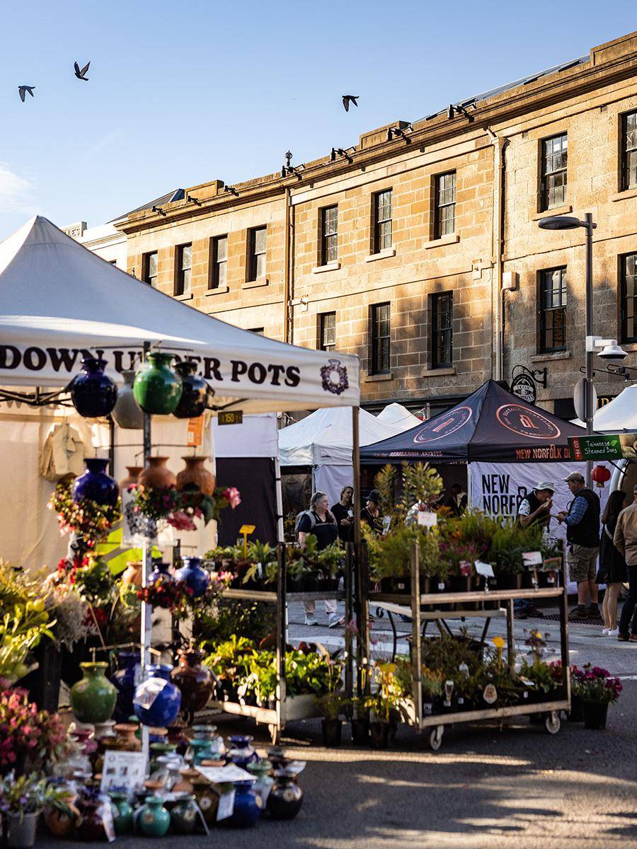 澳大利亚旅游局发布 2024 年旅行榜单(下)_雨林_stone_埃斯