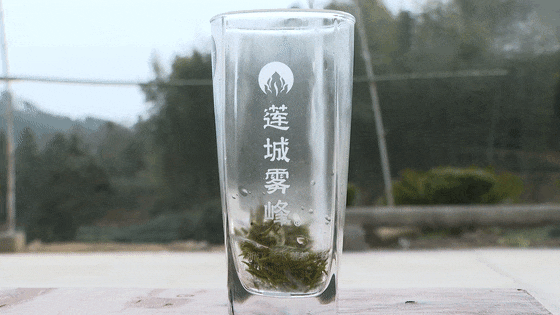 茶叶_茶商_莲都区