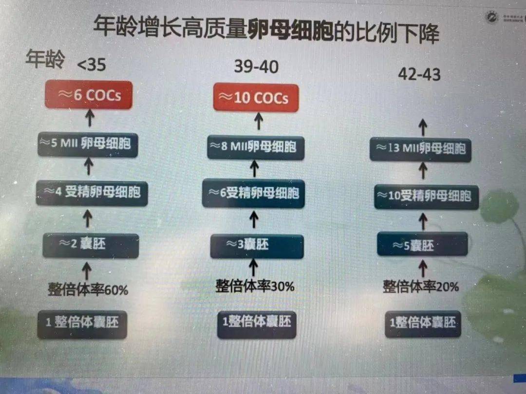 看了三甲医院18年试管婴儿数据,才知道高龄孕妇多危险_孩子_问题_身体