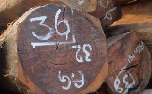 老挝_红木_木材