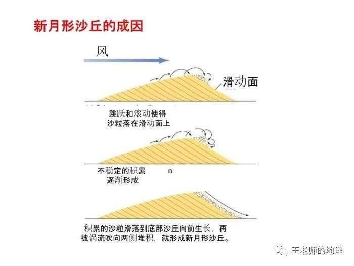 其平面如新月,走向与风向垂直或大于60°.