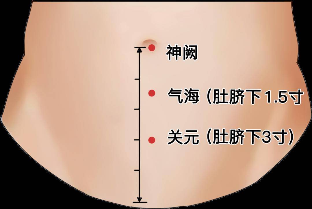 神阙穴在肚脐中