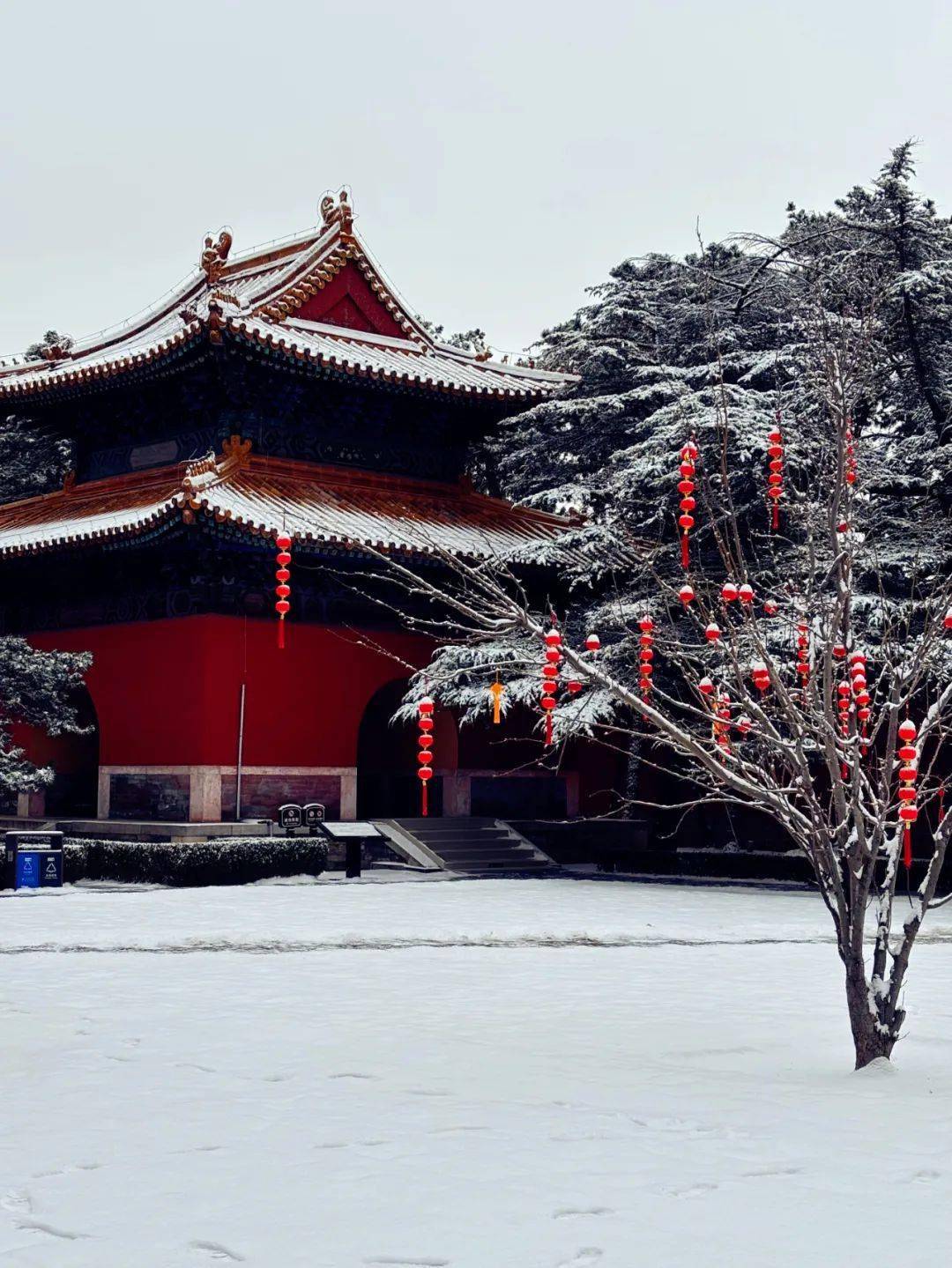 落雪成诗,在昌平邂逅诗意雪景_度假村_北京_公园