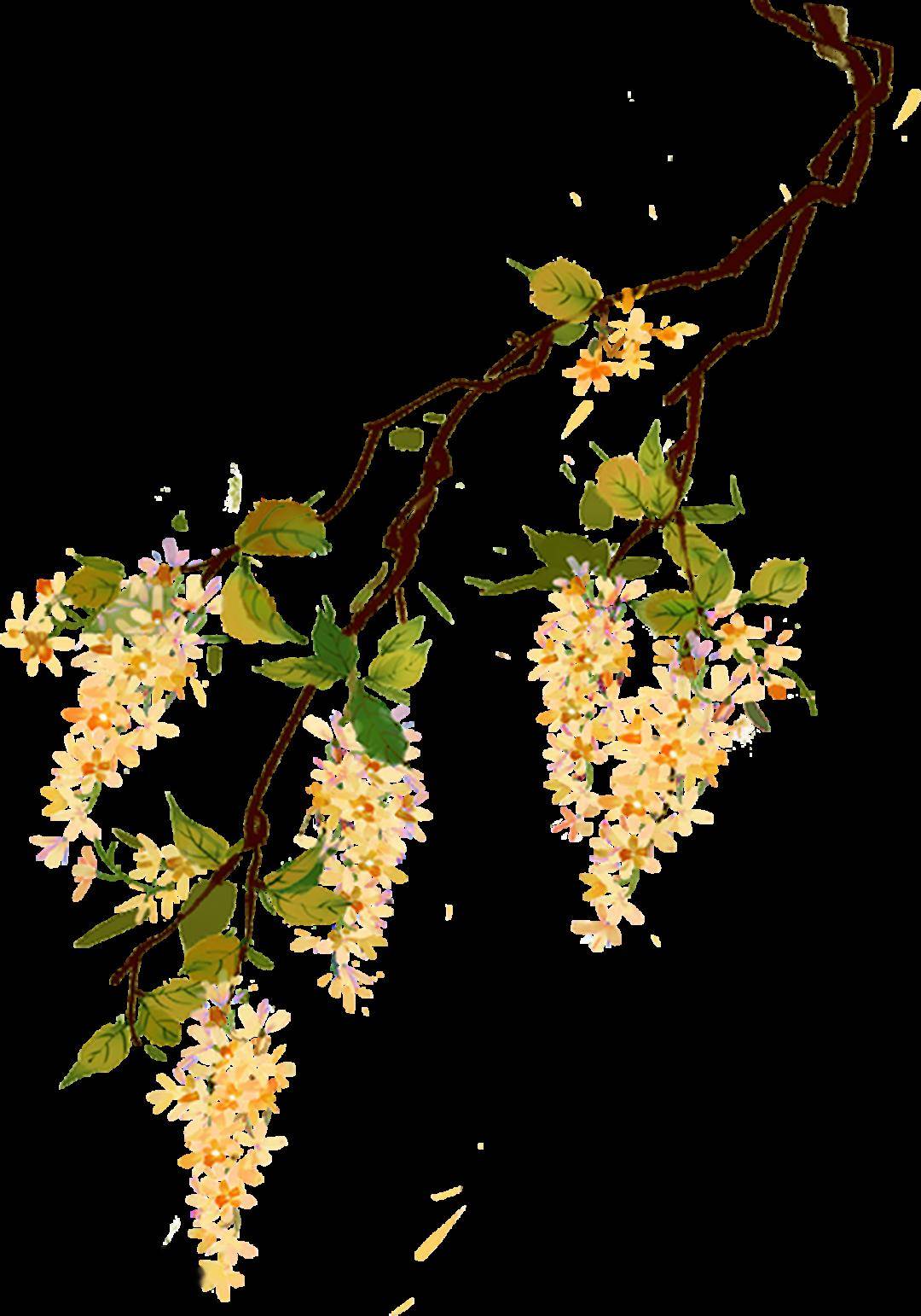 还有宠粉福利哦——_海淀区_演出_文化