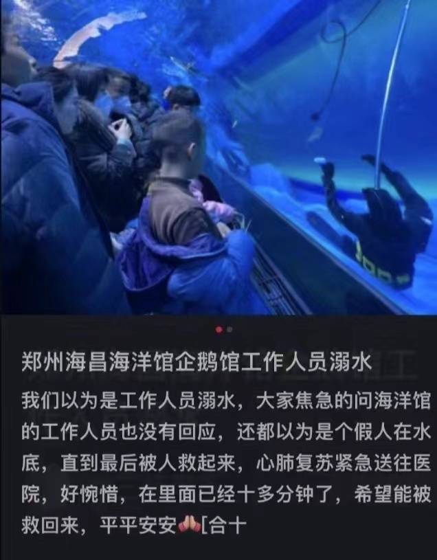 郑州一海洋馆潜水员溺亡 涉事单位:已完成善后工作