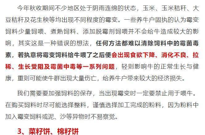 还容易出问题!_米糠_红薯_牛羊