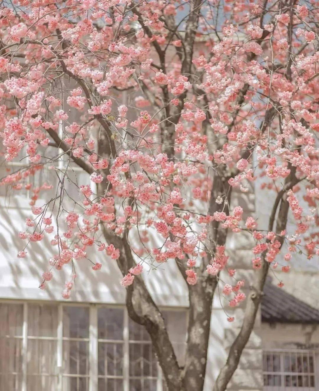 散文:是日雨水_时间_生活_朋友