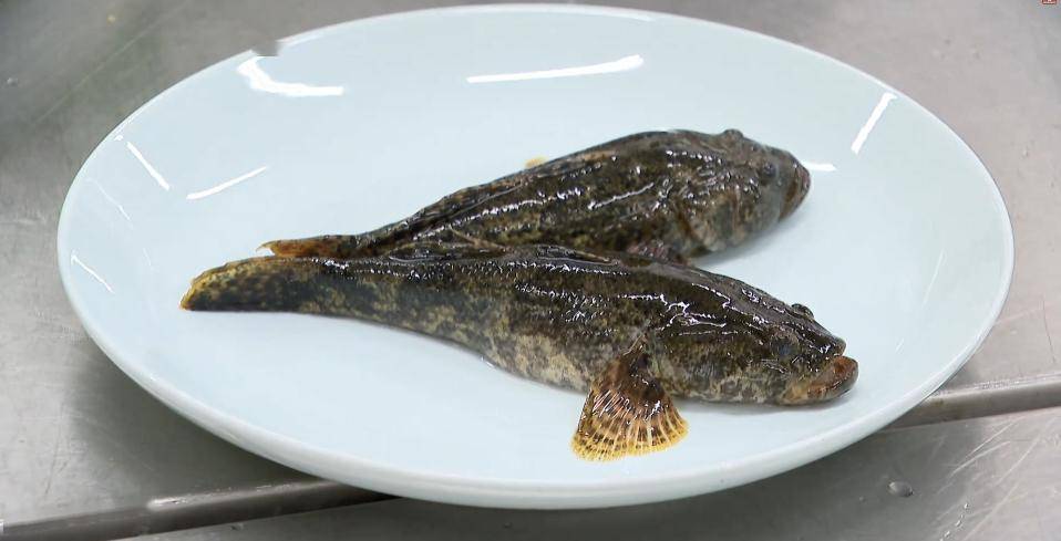 "目前苏城市面上的塘鳢鱼以高淳货为主,占比80%,沭阳,湖北,安徽的货源