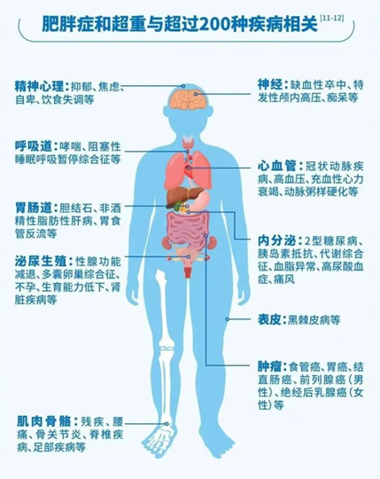 我们所熟知的糖尿病,高血压,冠心病,痛风,高脂血症,睡眠呼吸暂停综合