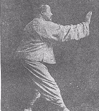 太极拳"胯"的12种练法_动作_关节_韧带