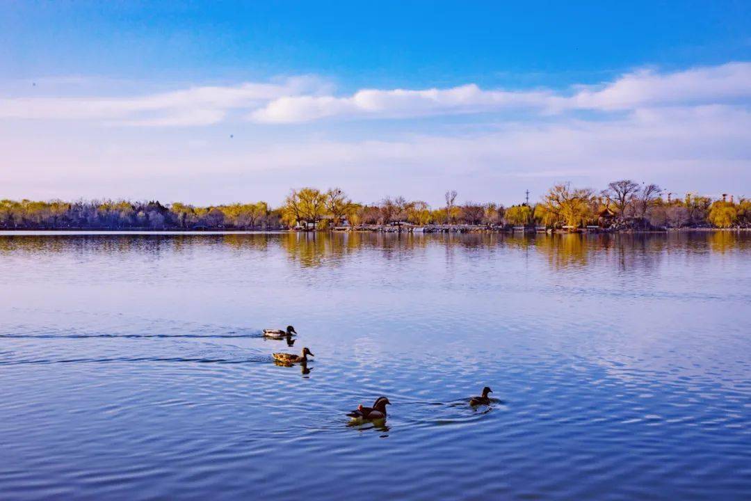 蓬岛瑶台你可能不知道的是,在圆明三园中有若干景致是直接以传说中的