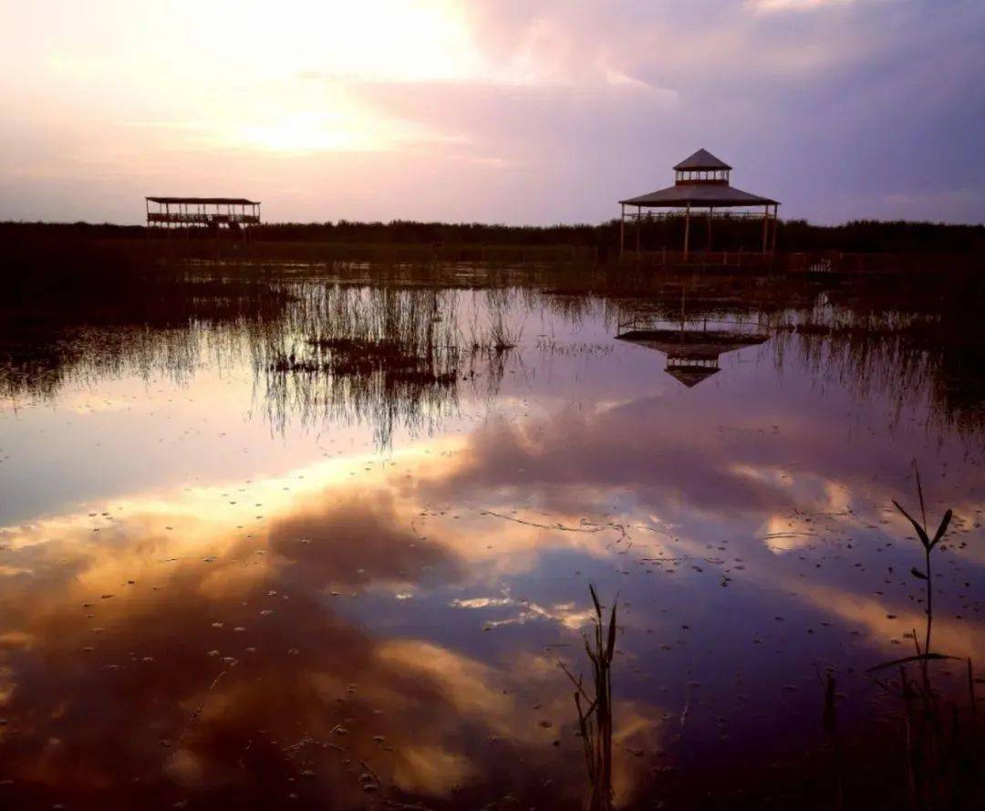 不在内蒙,不在四川,这个巴州在新疆_中国_沙漠_总面积