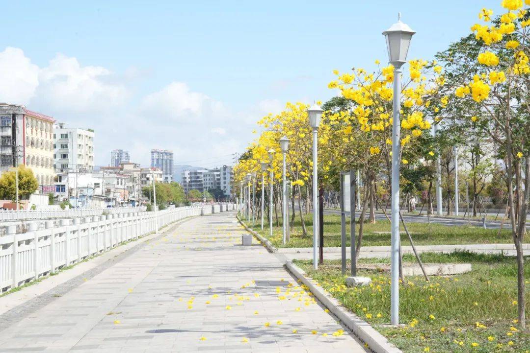 潮南峡新路,北环大道._春花_峡山_新芽