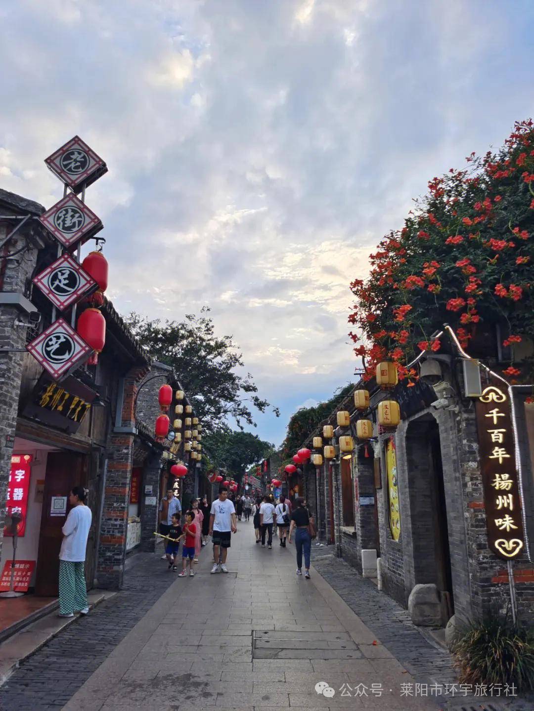 扬州瘦西湖 李中水上森林(含竹筏) 泰州梅园 乔园 夜游凤城河纯玩三日