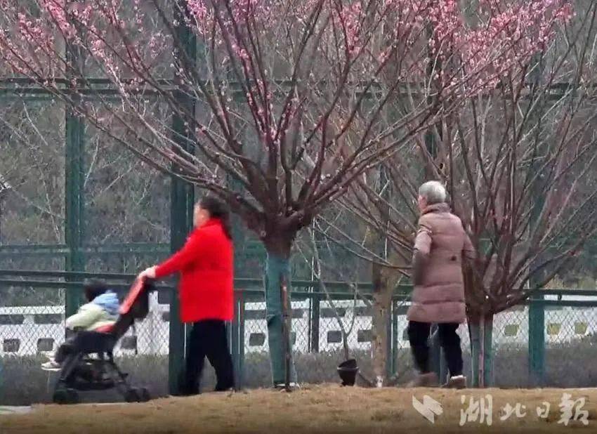 恩施市:特色公园装满百姓微幸福_市民_运动_城市