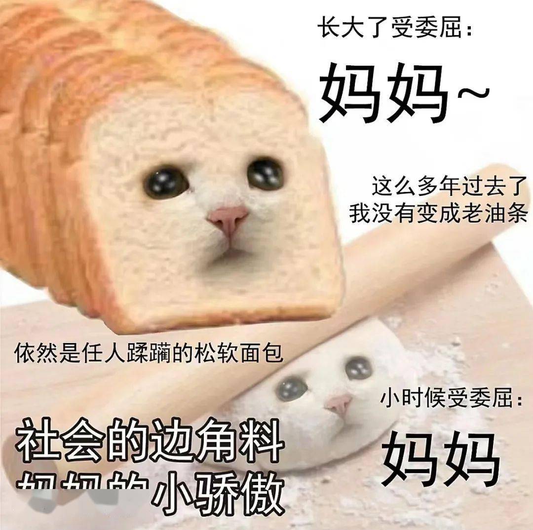 "窝囊废文学"里的生活法则,让多少人汗流浃背了_年轻人_时刻_底线