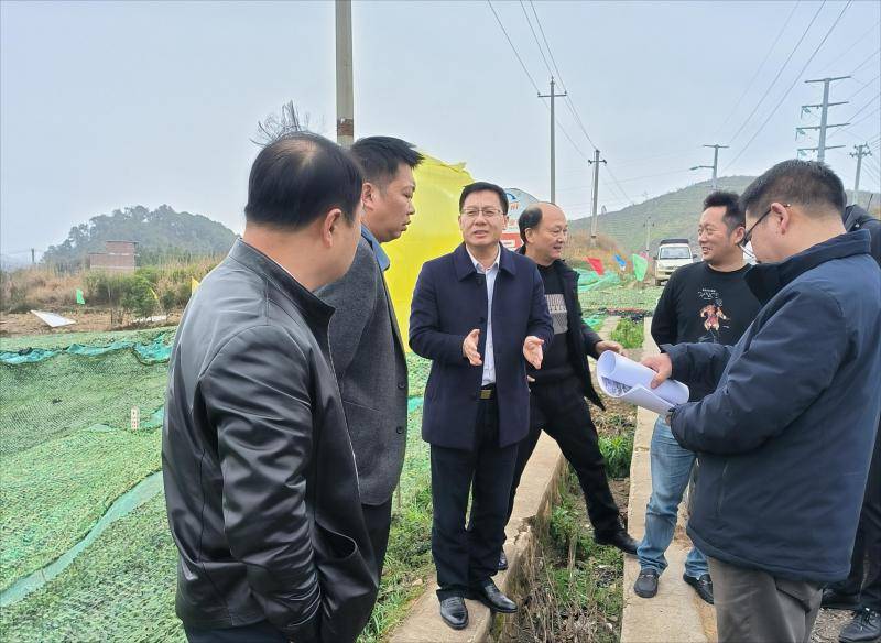 新田县开展土地出让工作调研新圩镇:六村被授予"永州市卫生村"荣誉