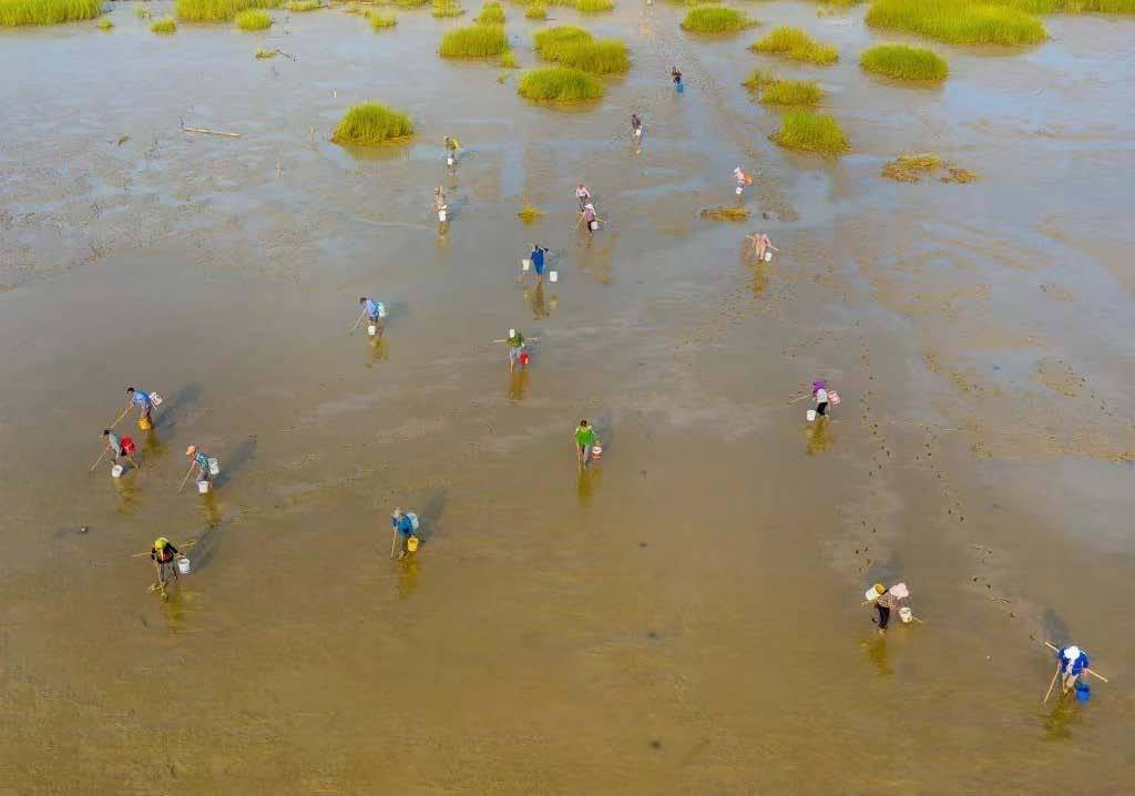 巴斗海宝_家族_小龙女_沙洲