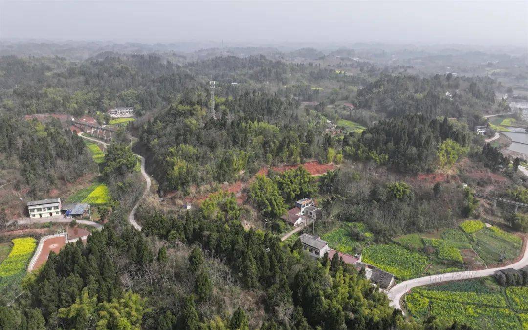 井研马踏:多措并举 全力以赴做好森林防灭火工作_防火_马踏镇_宣传