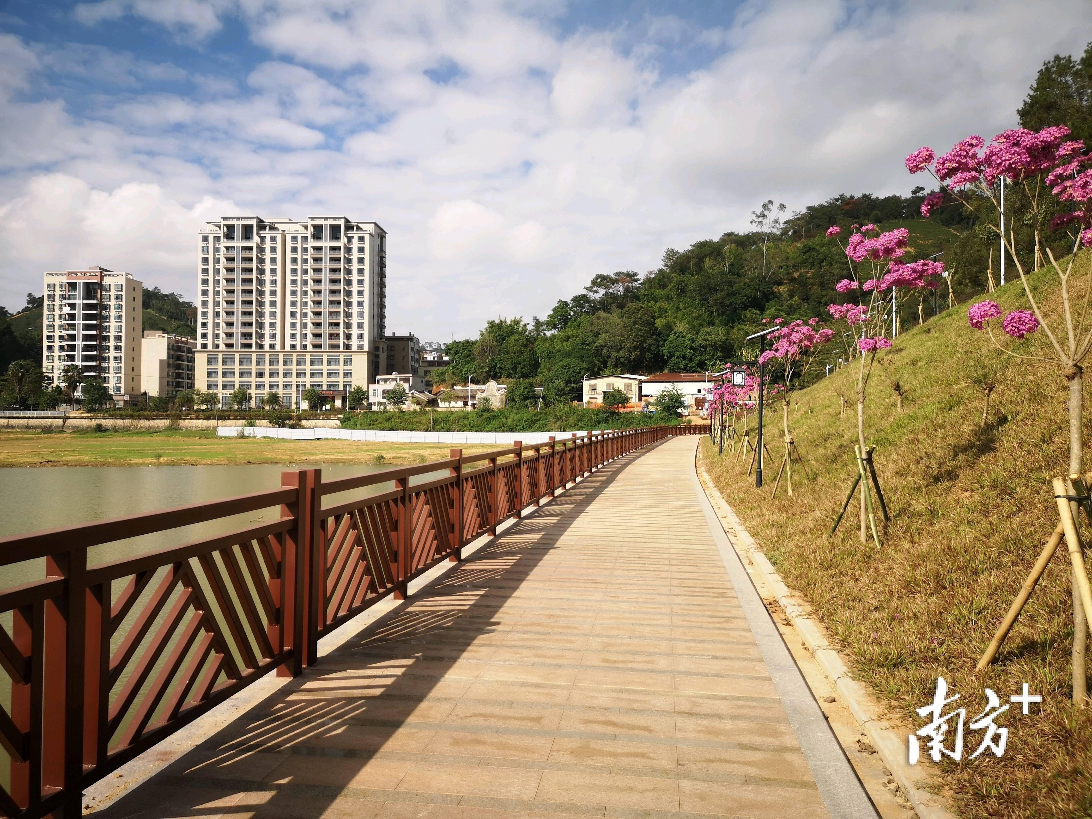 超级养眼!郁南千官云霄水库碧道"上新"