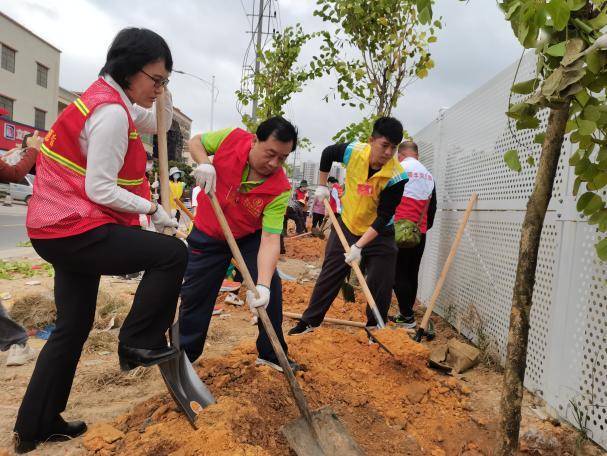火炬开发区:市人大代表与绿同行,共筑绿美火炬_活动_绿化_环境