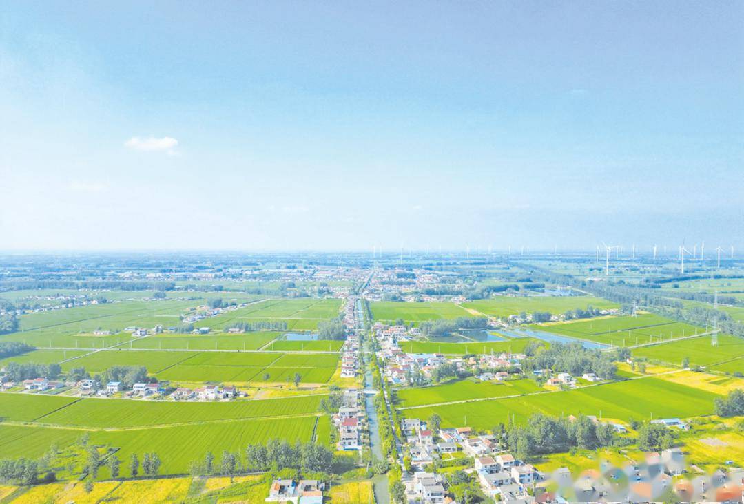 宝应夏集:争当乡村振兴镇域排头兵