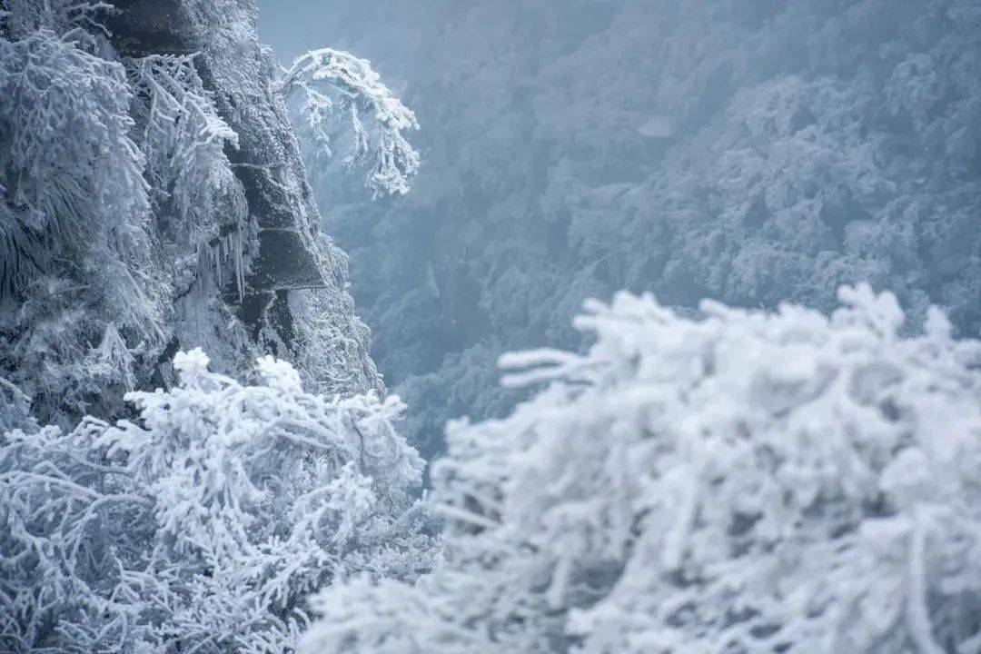 江西武功山雪景图片图片