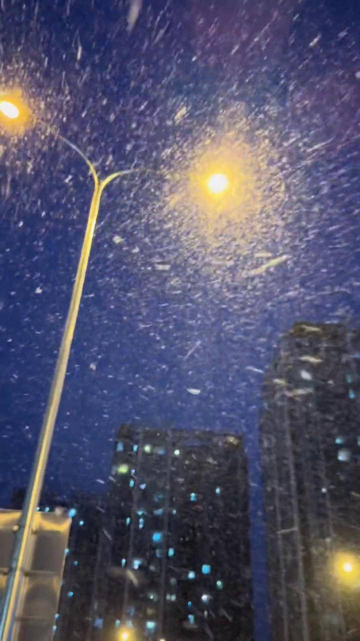 下雪路灯下的照片图片