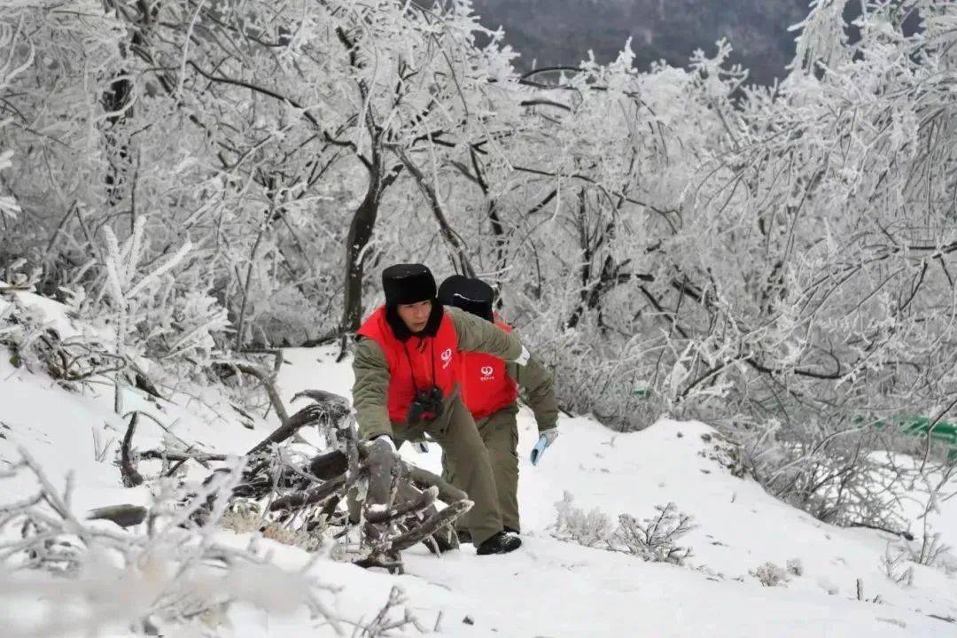 中國電力報:戰風斗雪 致敬風雪逆行人_國網_線路_保障