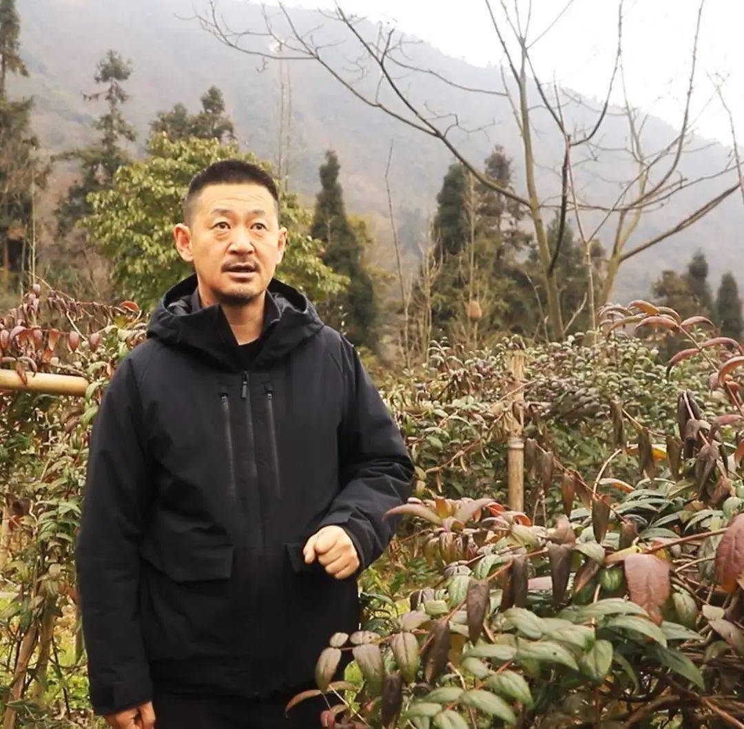 蒋维明:打造"地球茶舱",让川茶香飘海外_文化_金银花_祥子
