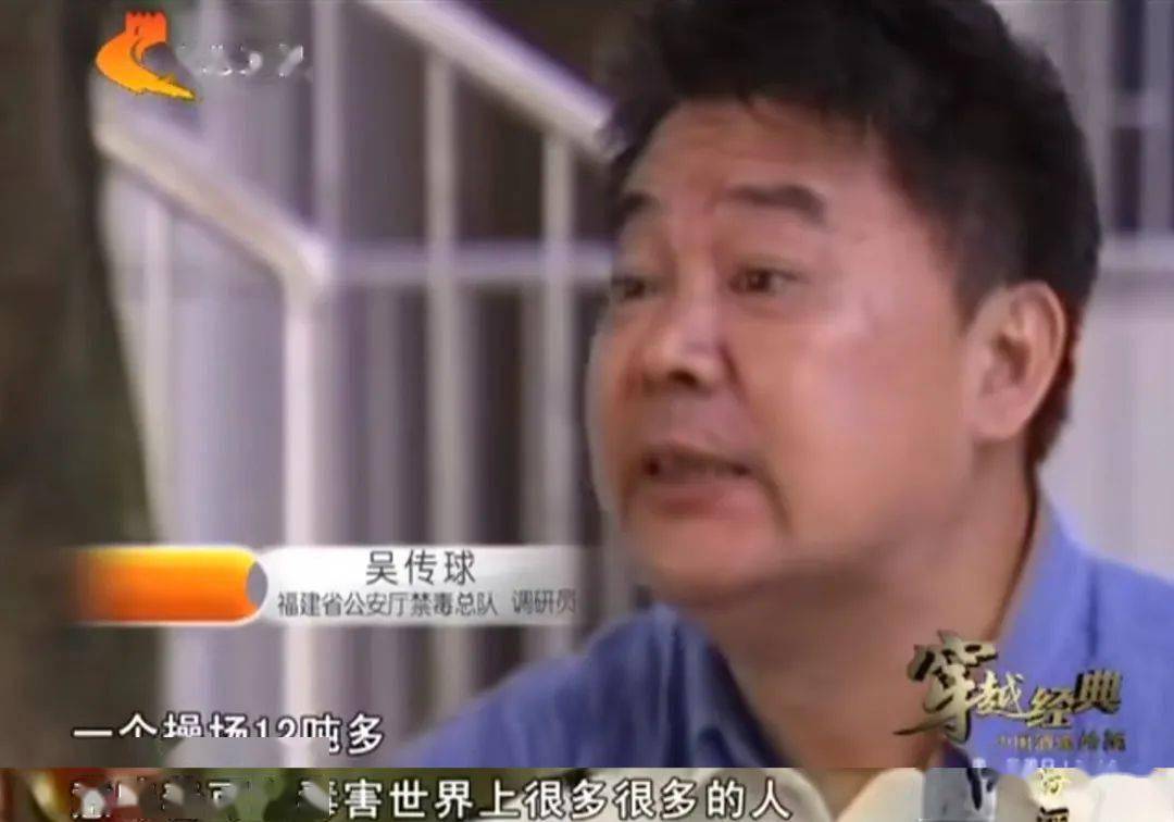 内地版「绝命毒师」,火了_刘招华_华的_毒品