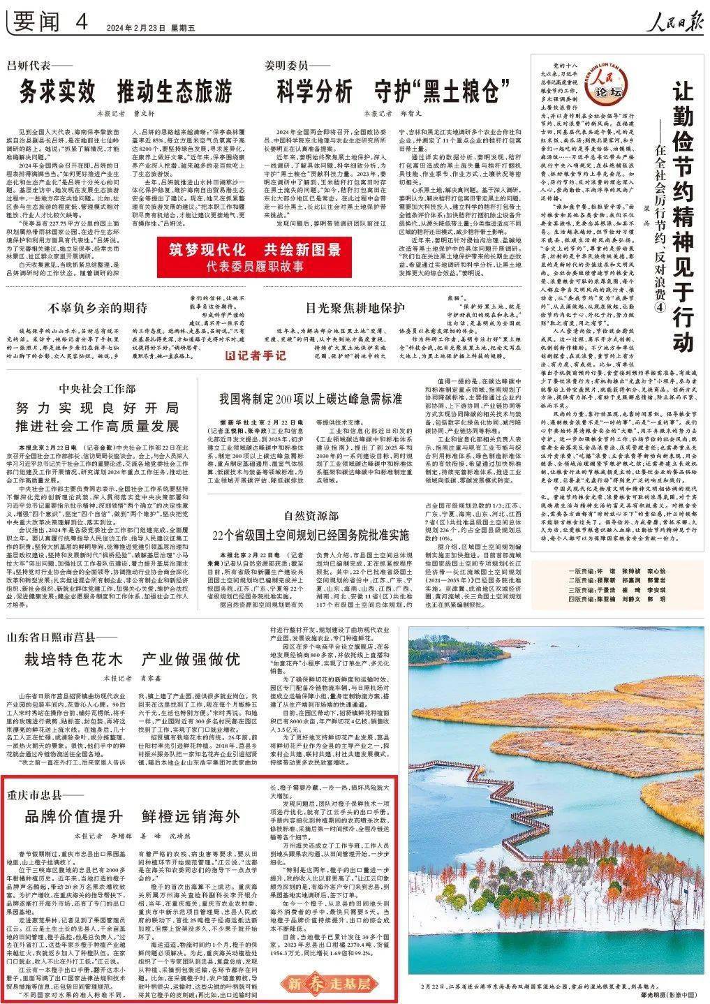 鲜橙远销海外(新春走基层)春节假期刚过,重庆市忠县出口果园基地里