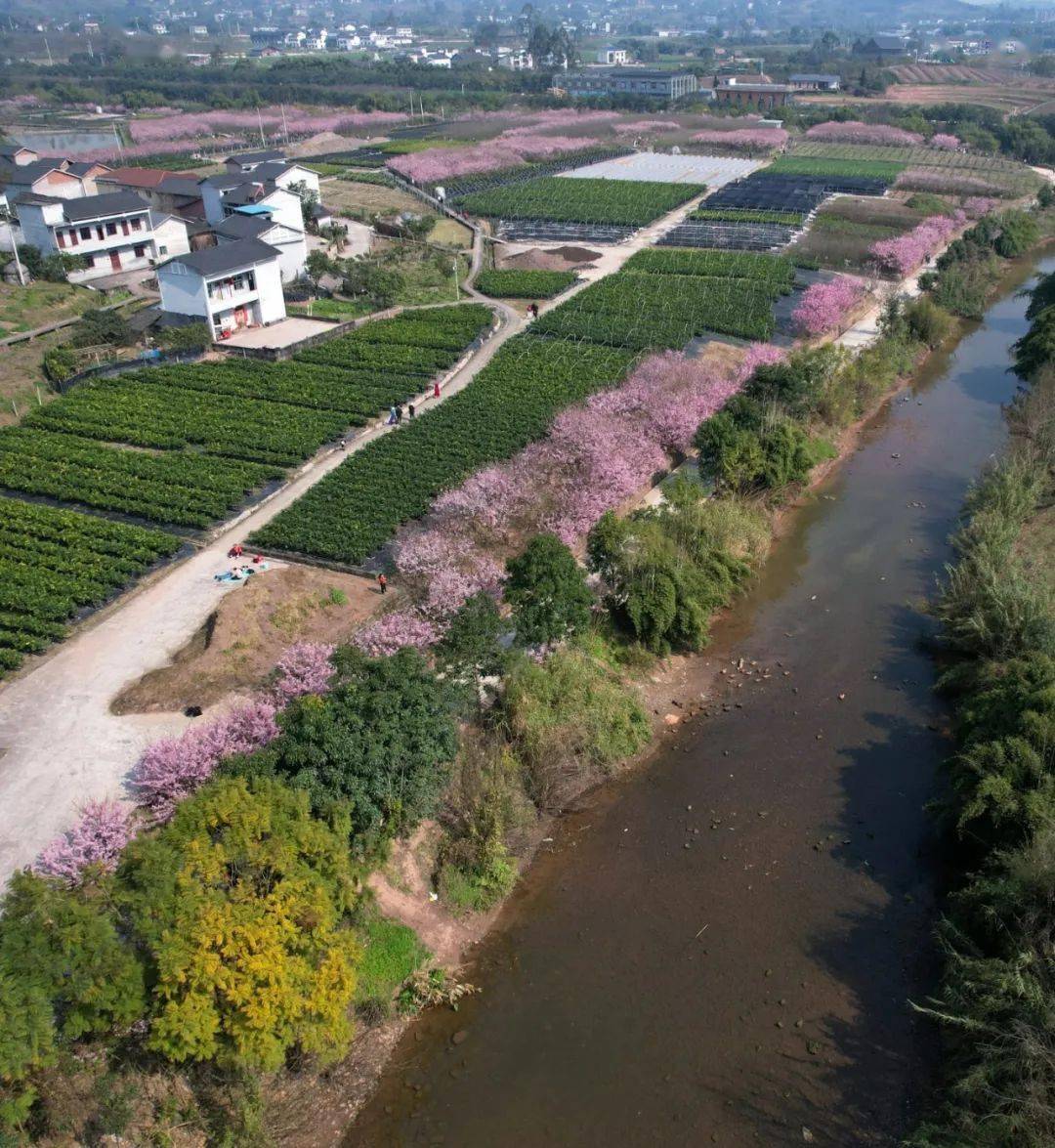 璧山_七塘镇_鼻子