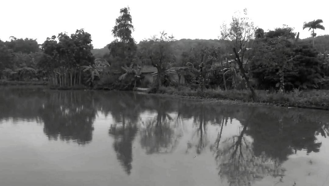 女知青离奇失踪,35年后老知青聚会,突然想到一条线索