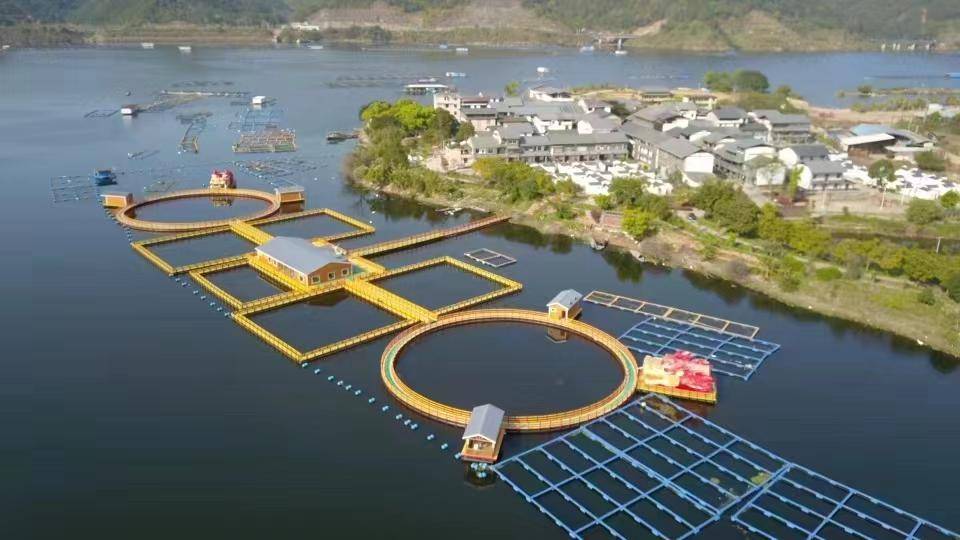 闽北寻龙记 | 邀您来樟湖探寻龙的足迹