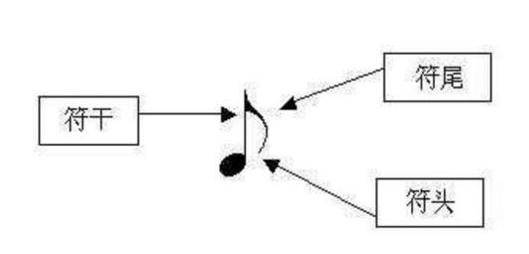 五线谱入门大全,初学钢琴必备!_谱号_音符_谱表