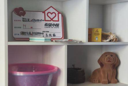 履践致远丨哲社学院2023-2024学年寒假社会实践顺利开