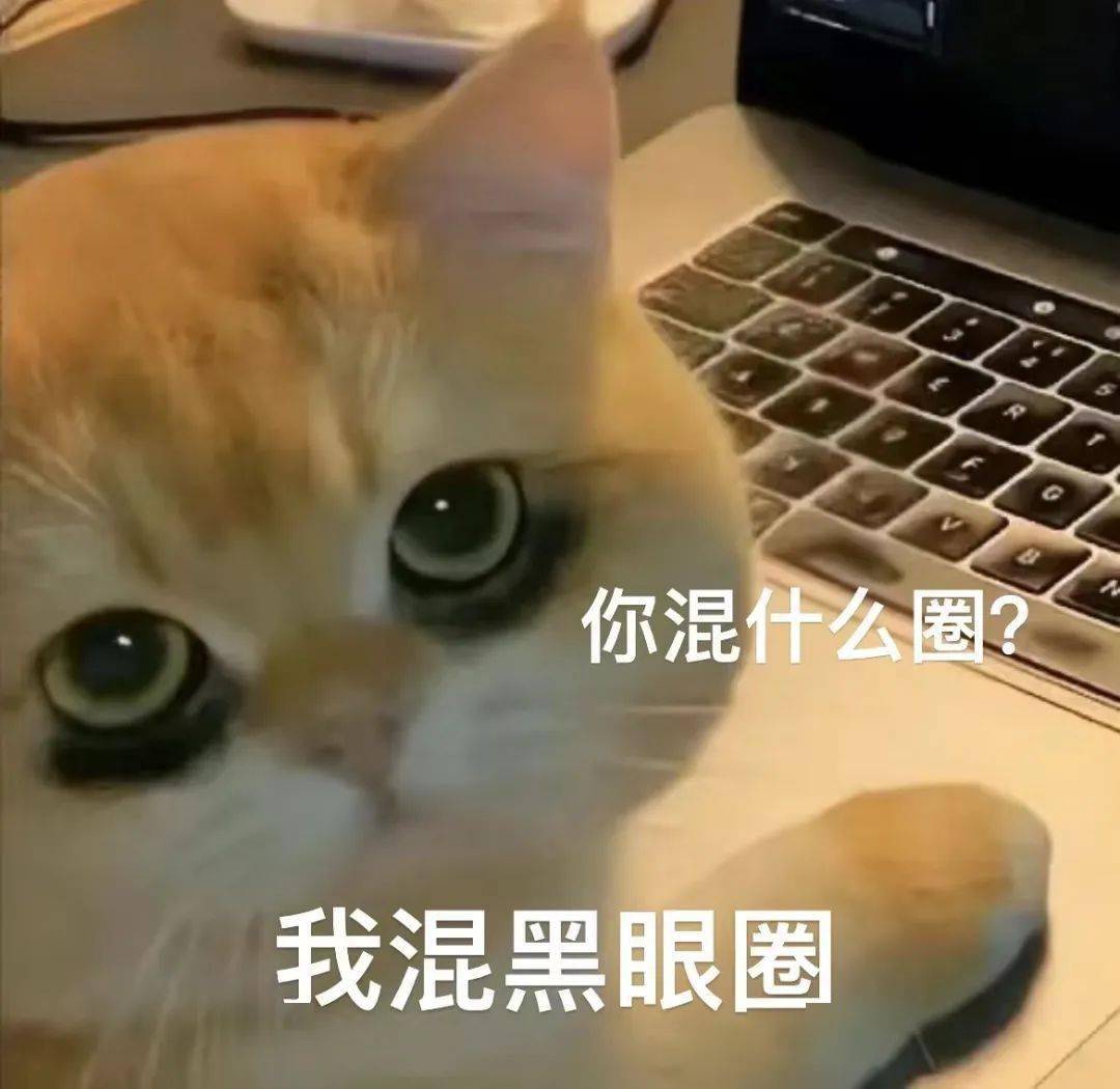 (封面表情包自取)你有黑眼圈的困扰吗?还知道什么去黑眼圈的小方法?