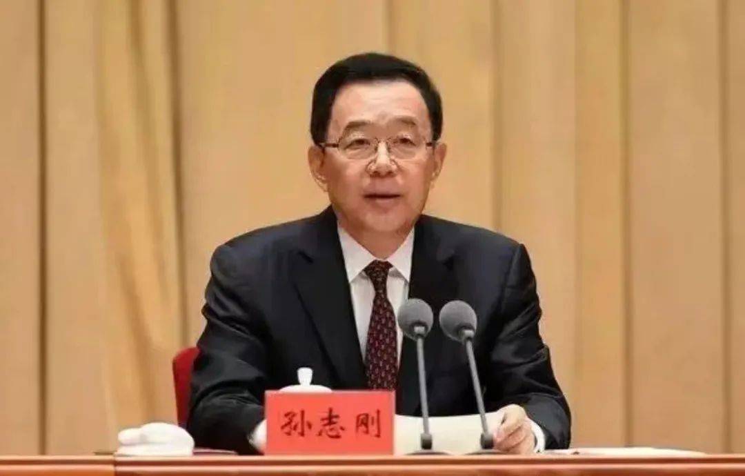 董云虎,孙志刚,韩勇三个正部级"老虎",被中央纪委工作报告点名_问题