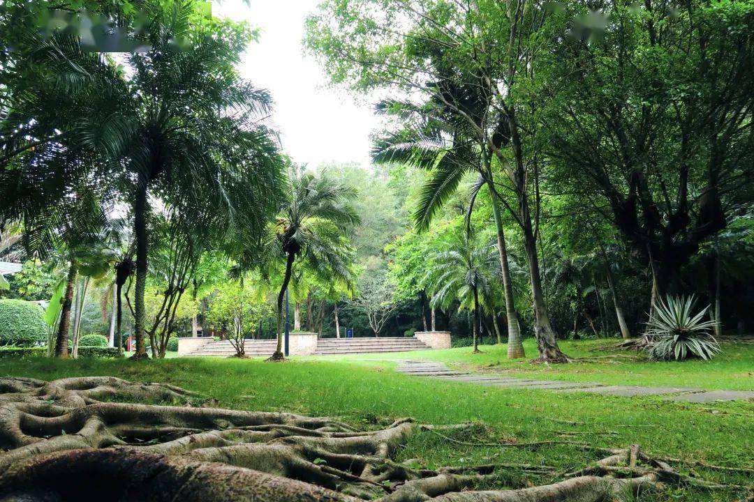 肇庆又有新公园!正式向市民开放……_休闲_怀集_口袋