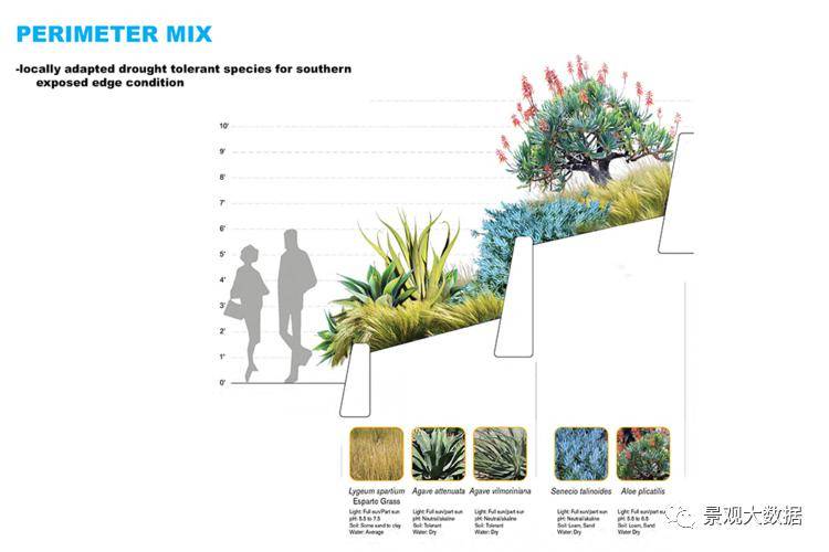 景观植物配置_效果_变化_统一性